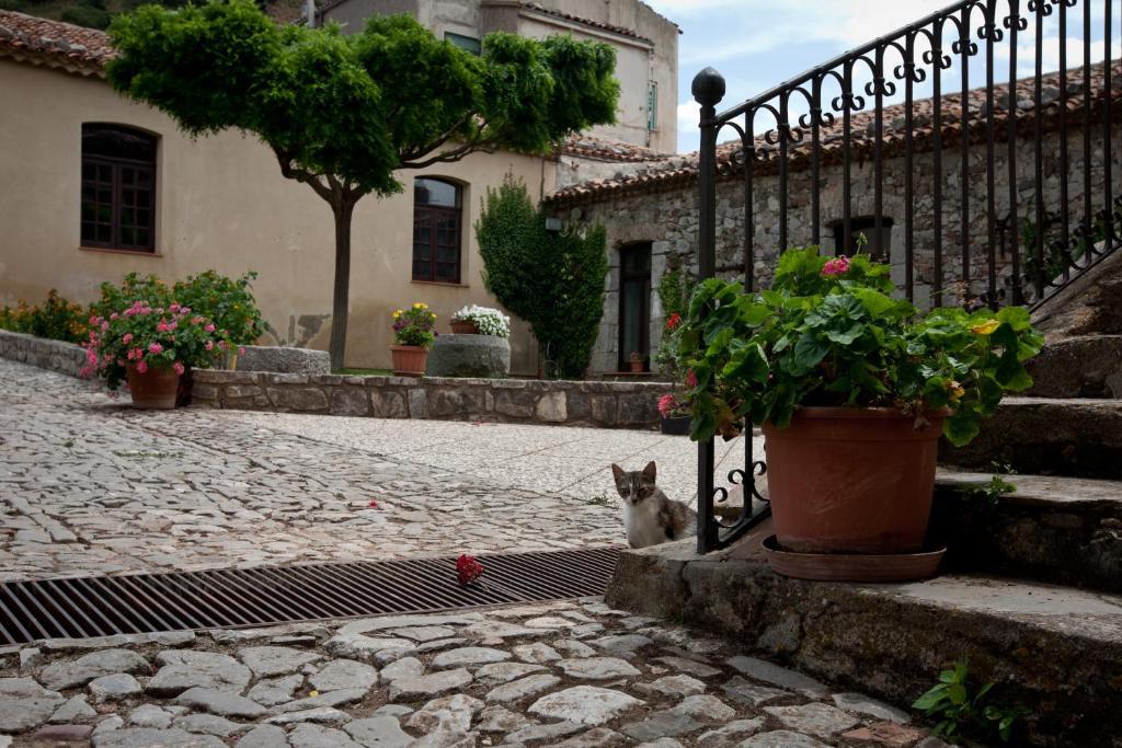 Il Vecchio Frantoio Villa Scillato  ภายนอก รูปภาพ