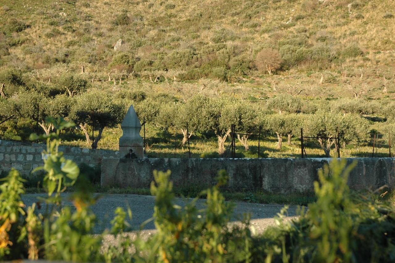 Il Vecchio Frantoio Villa Scillato  ภายนอก รูปภาพ